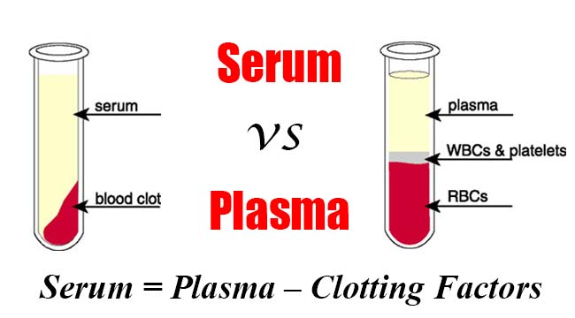 Sự khác biệt giữa Serum (huyết thanh) và Plasma (huyết tương)